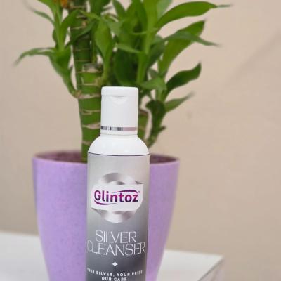 Silver Cleaner 100 mL